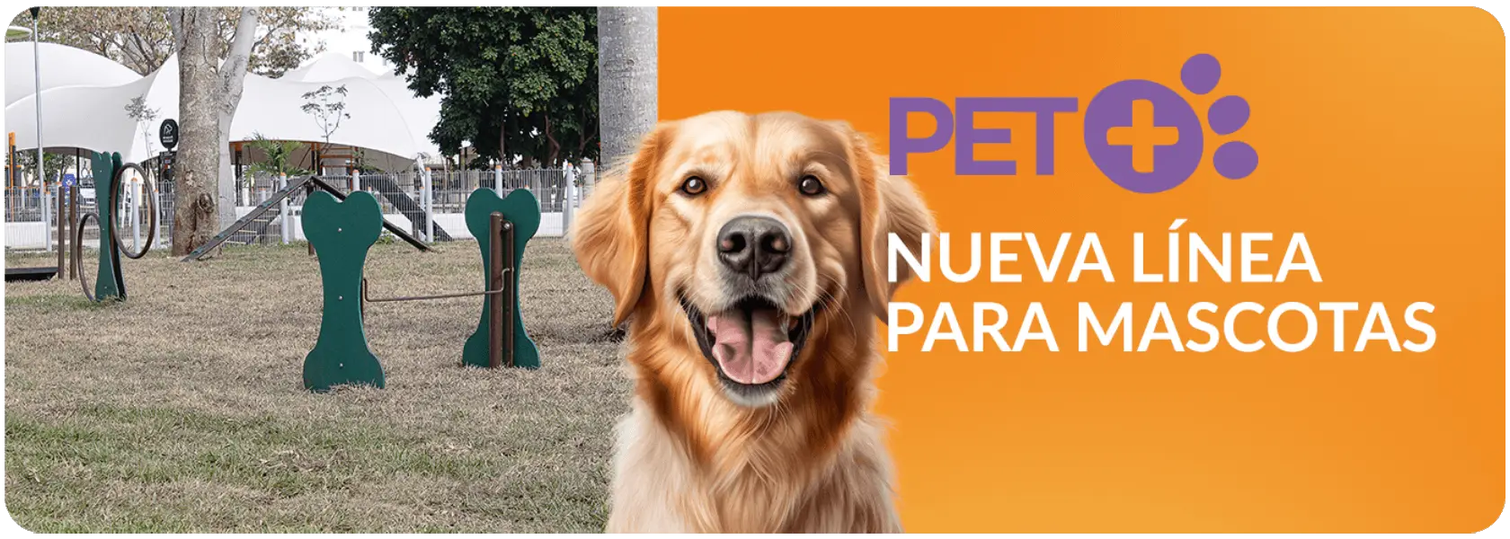 BANNER-DOG-1