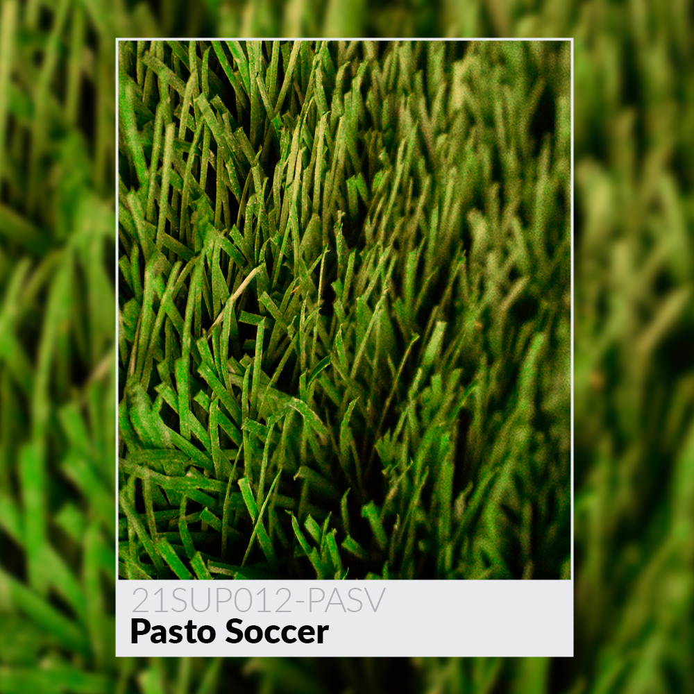 PastoSoccer-21SUP012-PASV